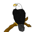 Dibujo Águila en una rama pintado por bate