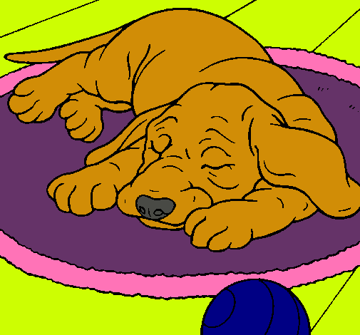 Dibujo Perro durmiendo pintado por sabri