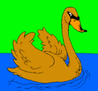 Dibujo Cisne en el agua pintado por cisne