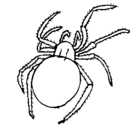 Dibujo Araña venenosa pintado por eded