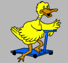 Dibujo Pato en patinete pintado por miqueasmartinez