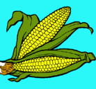 Dibujo Mazorca de maíz pintado por celii