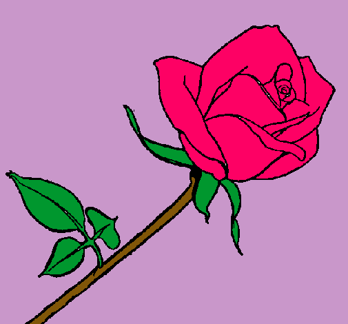 Dibujo Rosa pintado por fresita25