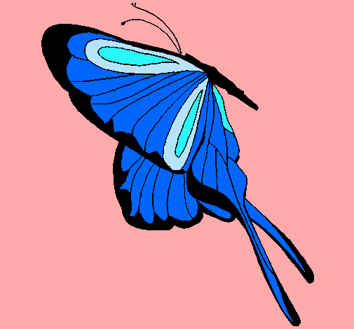Dibujo Mariposa con grandes alas pintado por maferfqp