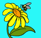 Dibujo Margarita con abeja pintado por minoschka