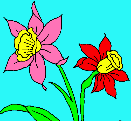 Dibujo Orquídea pintado por matiasXD