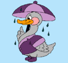 Dibujo Pato bajo la lluvia pintado por alicia_mar