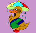Dibujo Pato bajo la lluvia pintado por SARA
