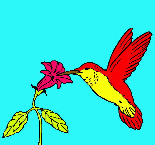 Dibujo Colibrí y una flor pintado por jose-ruiz