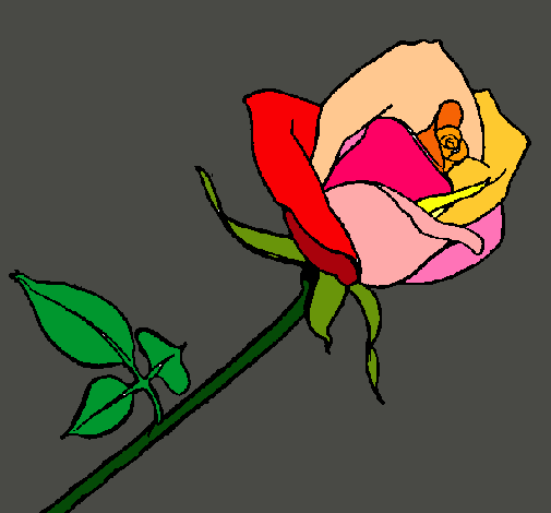 Dibujo Rosa pintado por Malu