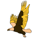 Dibujo Águila volando pintado por jaimeman