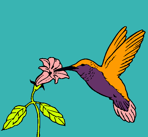 Dibujo Colibrí y una flor pintado por criistiina