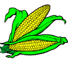 Dibujo Mazorca de maíz pintado por mariposa1084