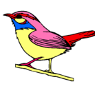 Dibujo Pájaro silvestre pintado por nestor