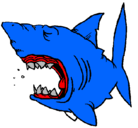 Dibujo Tiburón pintado por gorje