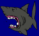 Dibujo Tiburón pintado por heliodoro