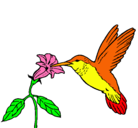Dibujo Colibrí y una flor pintado por saray