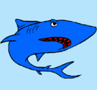 Dibujo Tiburón pintado por pinche