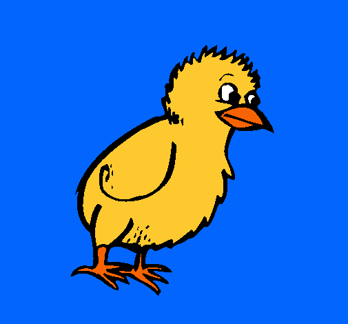 Dibujo Pollito pintado por pinkigrama