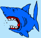 Dibujo Tiburón pintado por carlos
