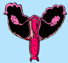 Dibujo Vagina pintado por sibi