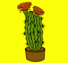 Dibujo Cactus con flores pintado por amalia