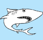 Dibujo Tiburón pintado por LOLIN