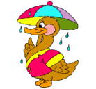 Dibujo Pato bajo la lluvia pintado por julian