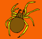 Dibujo Araña venenosa pintado por PIRULILLO