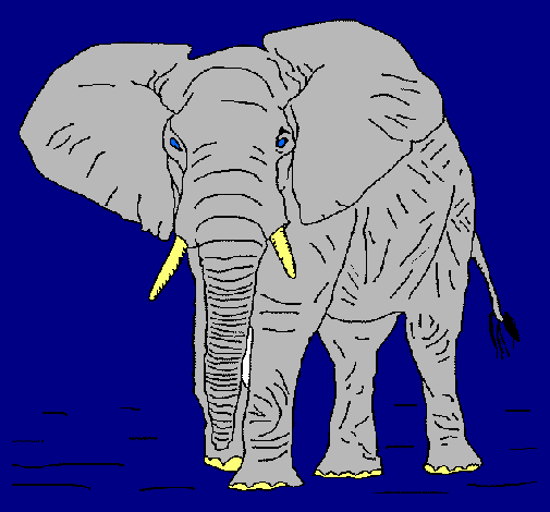 Dibujo Elefante pintado por angel1505