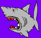Dibujo Tiburón pintado por tiburisin