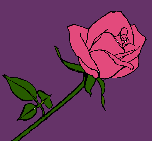 Dibujo Rosa pintado por ROCIIO