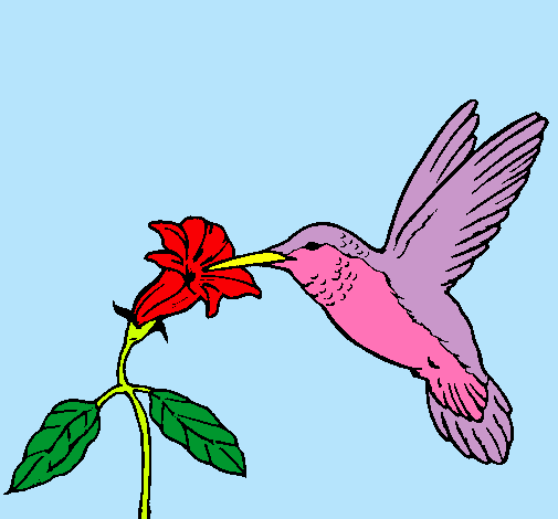 Dibujo Colibrí y una flor pintado por antu7