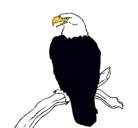 Dibujo Águila en una rama pintado por jubn