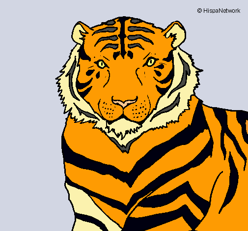 Dibujo Tigre pintado por valeeh