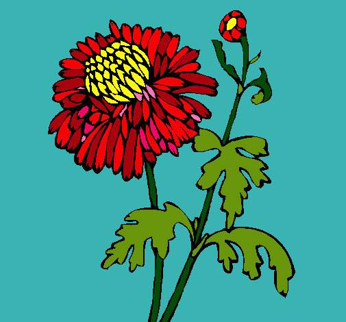 Dibujo Zinnia pintado por Abejito