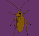 Dibujo Cucaracha grande pintado por croach