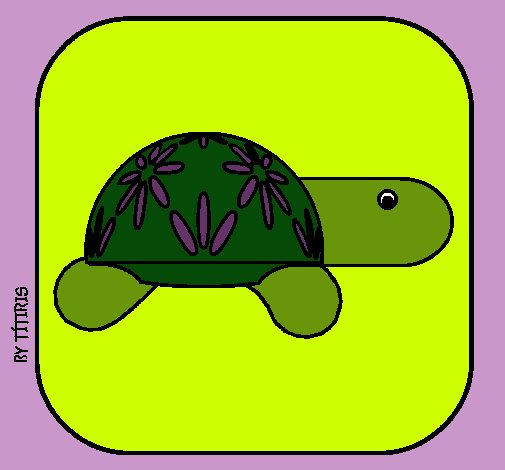 Dibujo Tortuga 4 pintado por bella18