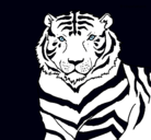 Dibujo Tigre pintado por lore