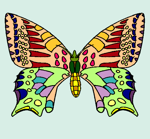 Dibujo Mariposa 5 pintado por Liriann209