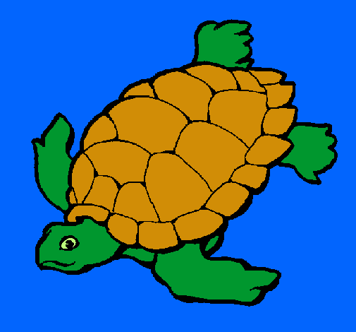 Dibujo Tortuga pintado por siiliii