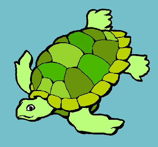 Dibujo Tortuga pintado por valeeh