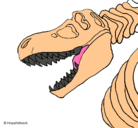 Dibujo Esqueleto tiranosaurio rex pintado por marcodelatorre
