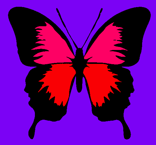 Dibujo Mariposa con alas negras pintado por madonita