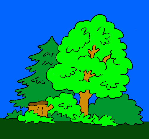 Dibujo Bosque pintado por eu-wapita