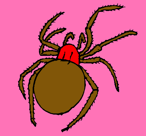 Dibujo Araña venenosa pintado por ALIANA