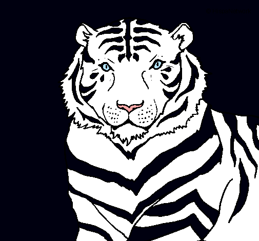 Dibujo Tigre pintado por kira