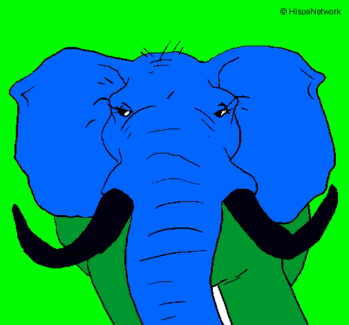 Dibujo Elefante africano pintado por andresvicario