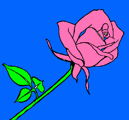 Dibujo Rosa pintado por maripepi