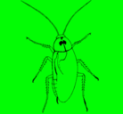 Dibujo Cucaracha grande pintado por ainara